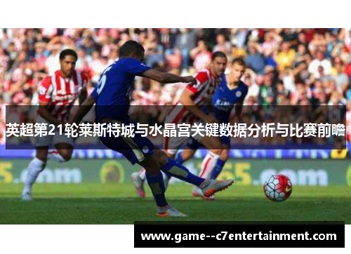 英超第21轮莱斯特城与水晶宫关键数据分析与比赛前瞻 英超第21轮莱斯特城与水晶宫关键数据分析与比赛前瞻