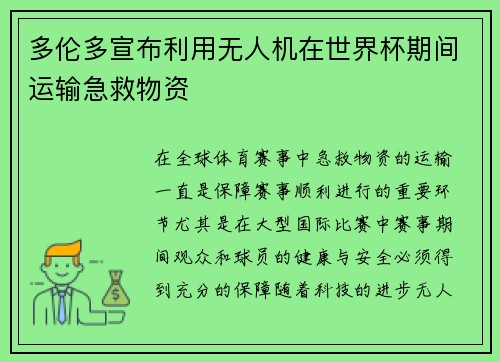多伦多宣布利用无人机在世界杯期间运输急救物资