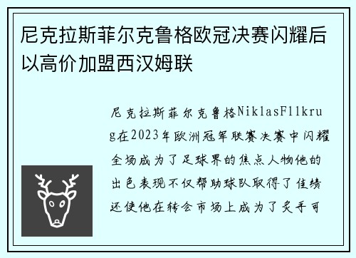 尼克拉斯菲尔克鲁格欧冠决赛闪耀后以高价加盟西汉姆联 尼克拉斯菲尔克鲁格欧冠决赛闪耀后以高价加盟西汉姆联
